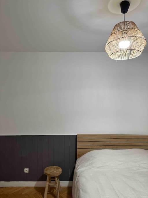 Charmant T3 Moderne Climatise Villeurbanne Buitenkant foto